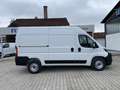 Fiat Ducato KASTENWAGEN 35 L2H2 140 AT Weiß - thumbnail 2