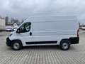 Fiat Ducato KASTENWAGEN 35 L2H2 140 AT Weiß - thumbnail 12