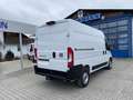 Fiat Ducato KASTENWAGEN 35 L2H2 140 AT Weiß - thumbnail 5