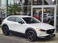 Mazda CX-30 2.5 G140 6AT HOMURA Weiß - thumbnail 8