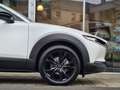 Mazda CX-30 2.5 G140 6AT HOMURA Weiß - thumbnail 11