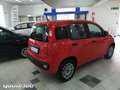 Fiat New Panda 1.0 Hybrid EASY 4 POSTI Rouge - thumbnail 4
