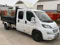 Fiat Ducato DoKa 160 L4  3 Seiten-Kipper RS: 4035mm/Klima/AHK Blanc - thumbnail 2