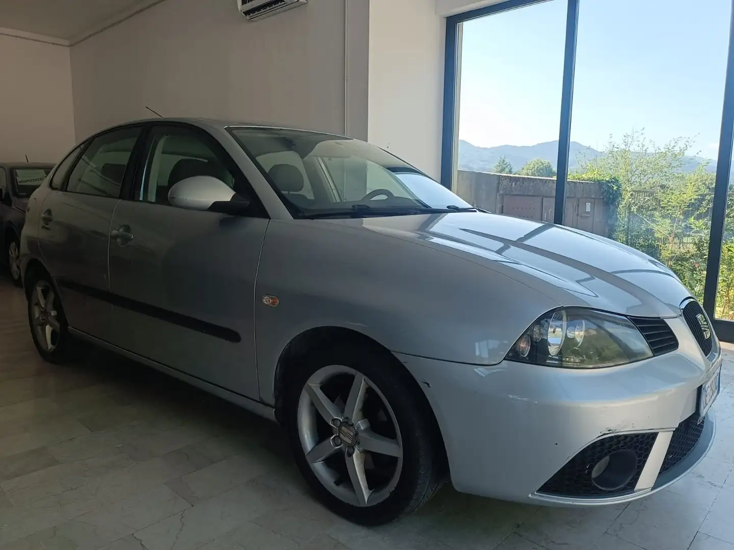 SEAT Ibiza Ibiza III 2006 5p 1.4 16v Stylance 85cv GPL Argento - 1