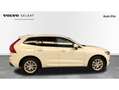 Volvo XC60 D5 Momentum AWD Aut. Blanco - thumbnail 5