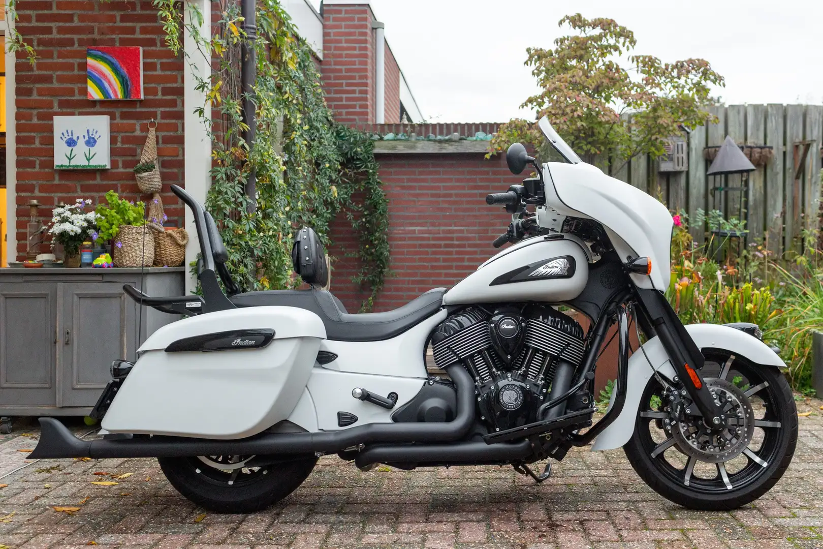 Indian Chieftain Dark Horse Alb - 1