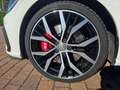 Volkswagen Golf GTI Performance 2.0 245 CV TSI DSG 5p. BMT Bianco - thumbnail 8