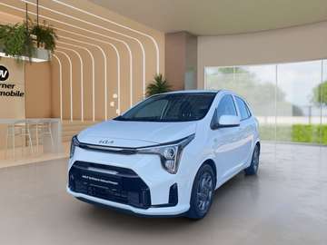 PE 1.0 Vision AMT
