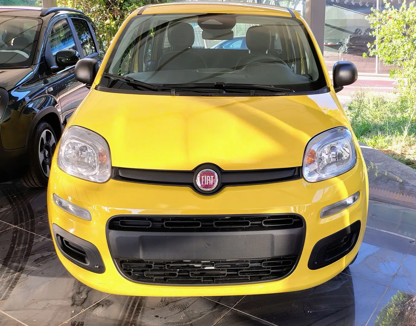 Fiat Panda Panda 1.0 FireFly S&S Hybrid Pop Giallo - 2