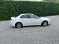 Alfa Romeo 159 1.9 JTD ECO DPF/GARANTIE 12MOIS/CT/CAR PASS/175CV Blanc - thumbnail 3