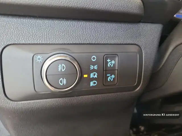 Ford Kuga view 13