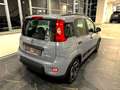 Fiat New Panda Grigio - thumbnail 4