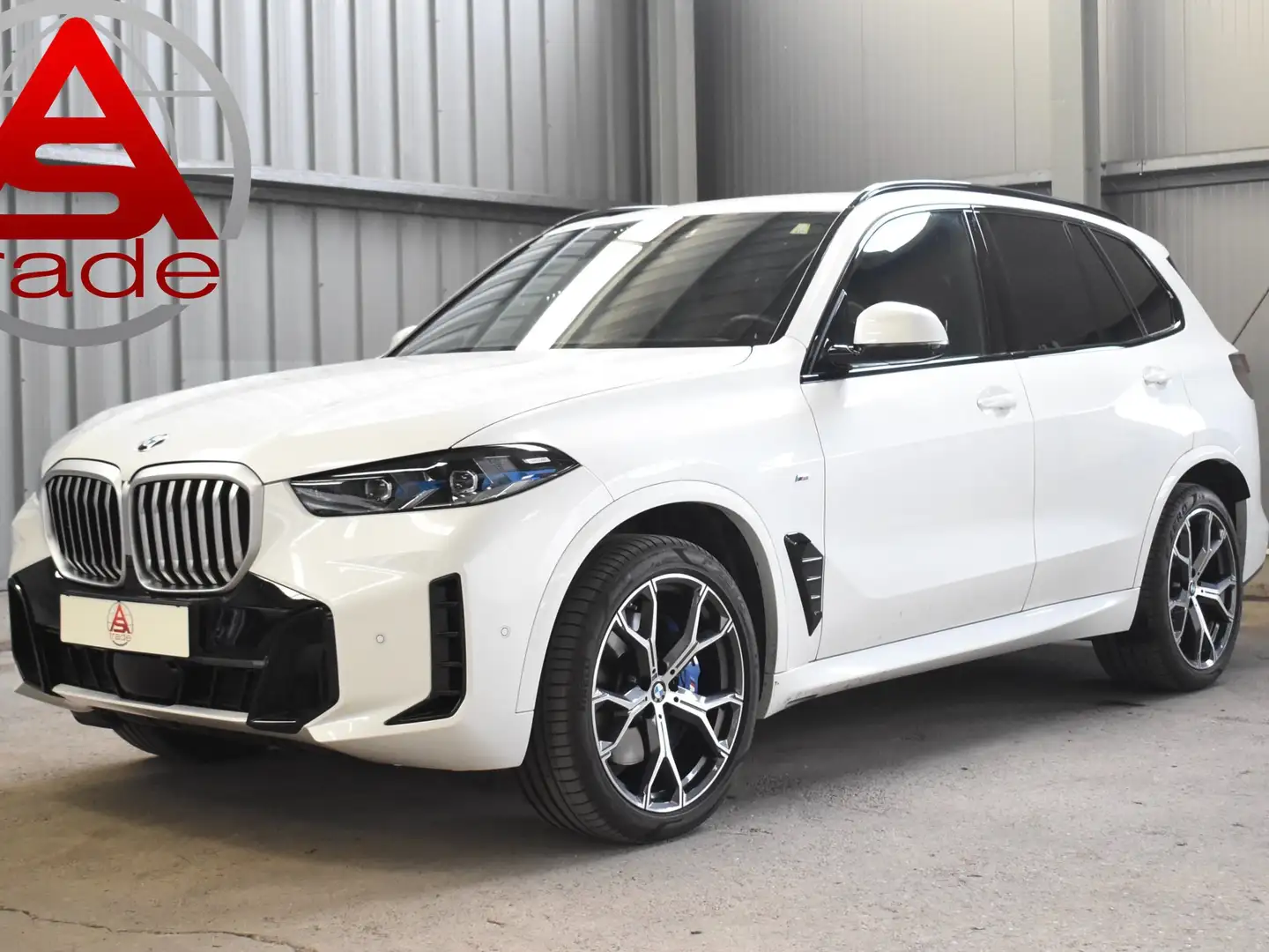 BMW X5 30 d xDrive M Sport*Hamen/kardon/ M - Sportpaket Weiß - 1