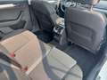 Skoda Superb Combi Ambition Navi 1.Hand SHG PDC ACC Weiß - thumbnail 10