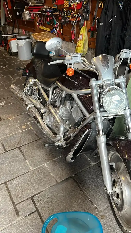 Harley-Davidson V-Rod