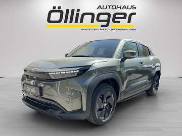Elektro 61kWh Teamplayer Aut.