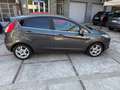 Ford Fiesta Fiesta VI 2013 5p 1.5 tdci Titanium 75cv E6 Grau - thumbnail 4