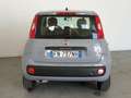 Fiat Panda 1.2 benzina eu6 5 posti PER NEOPATENTATI Grijs - thumbnail 8