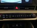 Kia Sportage 1.6 CRDi MHEV DCT Business AZIENDALE - PROMOK73 Nero - thumbnail 12