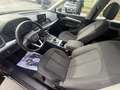 Audi Q5 40 2.0 tdi Business Design quattro 190cv s-tronic Gris - thumbnail 7