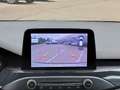 Ford Focus ST-Line Gris - thumbnail 6