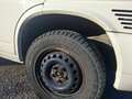 Volkswagen T4 Multivan Multivan Syncro TDI Weiß - thumbnail 6