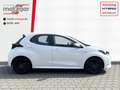 Toyota Yaris 1.5 Hybrid Business Edition +Navi +Sitzheizung White - thumbnail 2