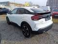 Citroen C4 PureTech 130 S&S Feel Bianco - thumbnail 7