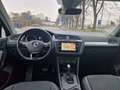 Volkswagen Tiguan 2.0 tdi Business 150cv dsg Grigio - thumbnail 12