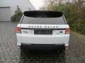Land Rover Range Rover Sport 3.0 SDV6 Autobiography Dynamic Blanc - thumbnail 6
