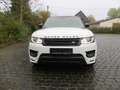Land Rover Range Rover Sport 3.0 SDV6 Autobiography Dynamic Weiß - thumbnail 3