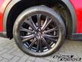 Mazda CX-5 Nakama Intense AWD Navi Leder Soundsystem Bose LED Rot - thumbnail 19