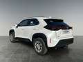 Toyota Yaris Cross 1,5 l Hybrid 4x4 Active Drive   8-fach bereift! A Weiß - thumbnail 3