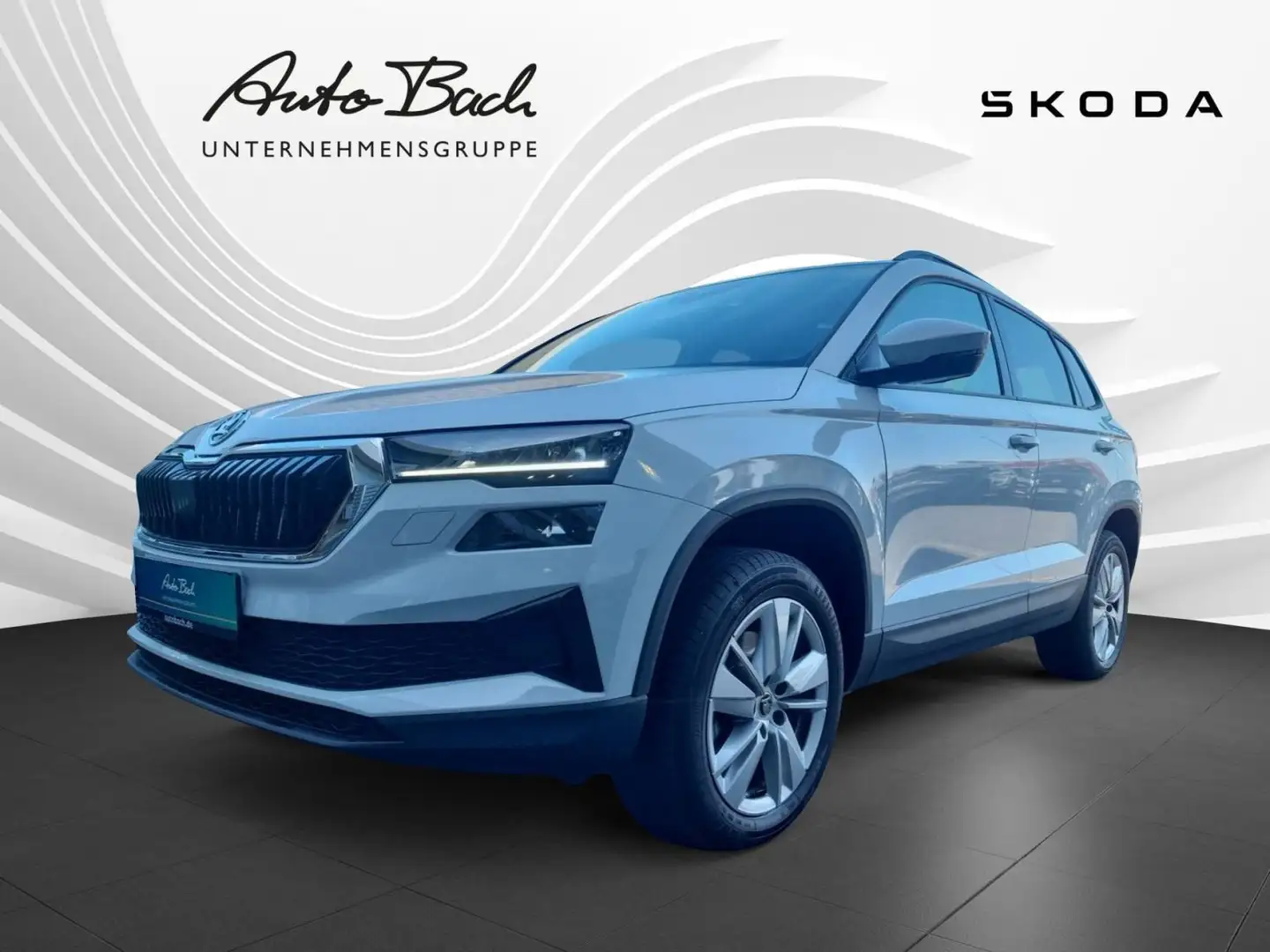 Skoda Karoq Selection 2.0 TDI 85 kW 6-Gang Weiß - 1