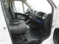 Fiat Ducato 2.3 MJET. 130 CV. L3H2 EURO 6B Bianco - thumbnail 3