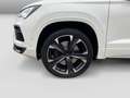 CUPRA Ateca 2.0TSI DSG 4Drive VZ 360° LED Navi Sitzhei Weiß - thumbnail 5