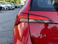 Skoda Scala 1,6 TDI Ambition DSG Rot - thumbnail 9