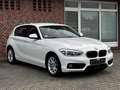 BMW 120 d xDrive*SPORT LINE*DISTRONIK*R-KAMERA*PDC* Blanc - thumbnail 7