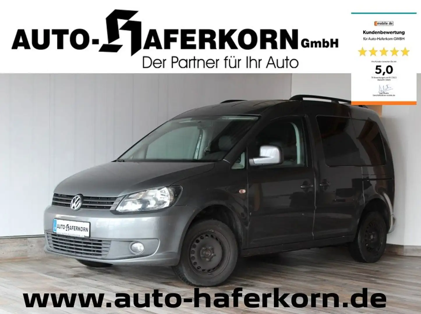 Volkswagen Caddy Kombi Roncalli Trendline Grey - 1