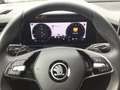 Skoda Kodiaq 1.5 TSI DSG mHEV Selection 7-Sitzer AHK LED Gris - thumbnail 13