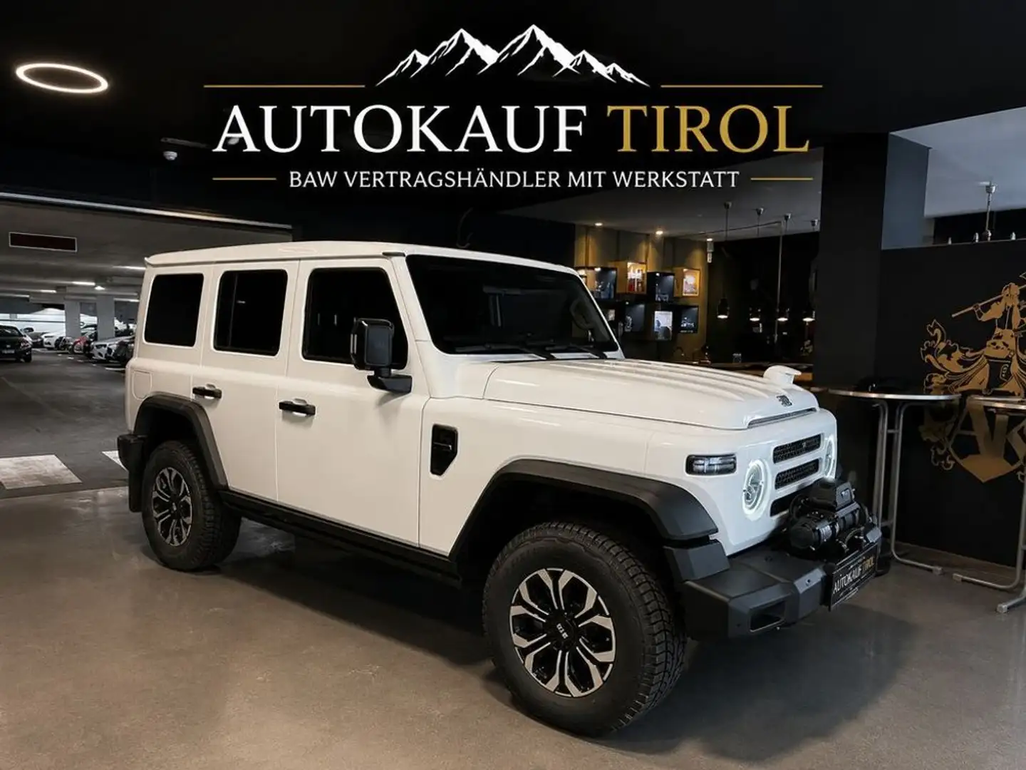 BAW 212 BAW 212 2.0 Diesel 4x4 | 166 PS | Seilwinde | Trit Weiß - 1