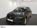 SEAT Ibiza STYLE LED FULL-LINK RADIO USB BLUETOOTH Grau - thumbnail 2