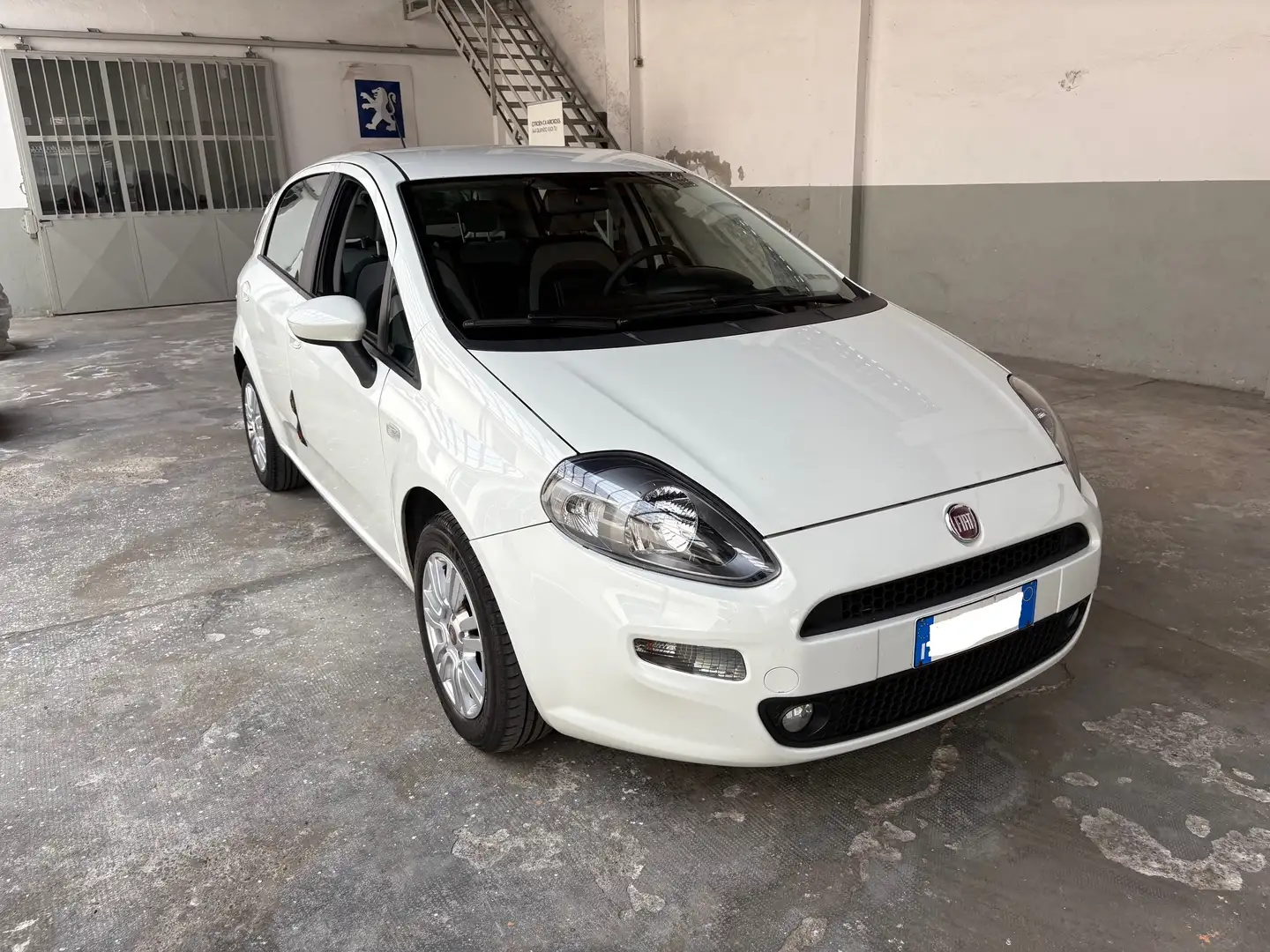 Fiat Punto 5p 1.2 Easy Bianco - 1