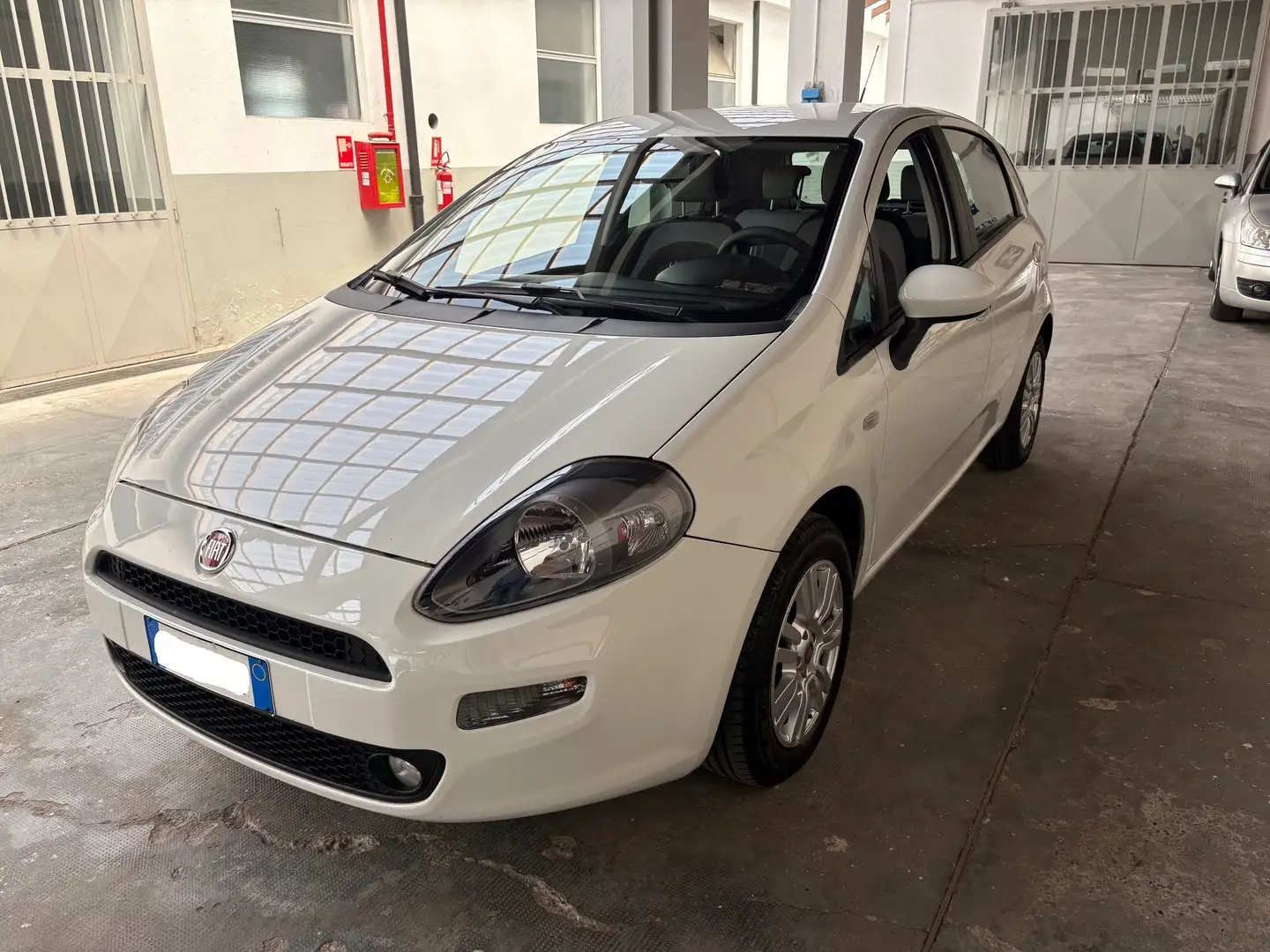 Fiat Punto 5p 1.2 Easy Bianco - 2
