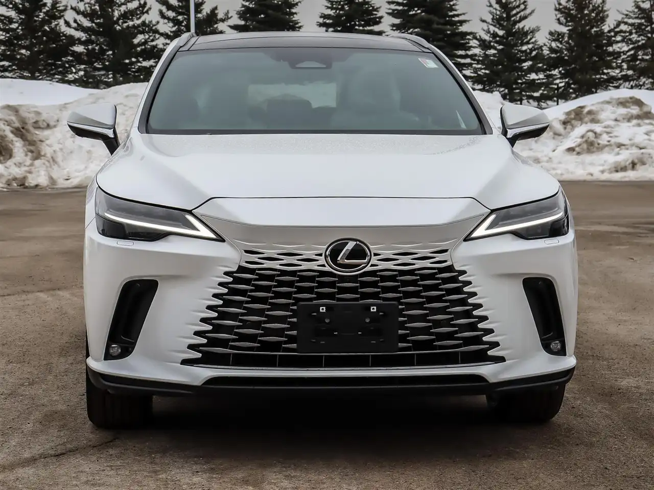 Lexus RX снимка Lexus RX