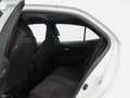 Toyota Corolla 5 Puertas Active Tech 125H e-CVT Blanco - thumbnail 11