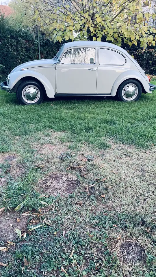 Volkswagen Maggiolino, foto 1