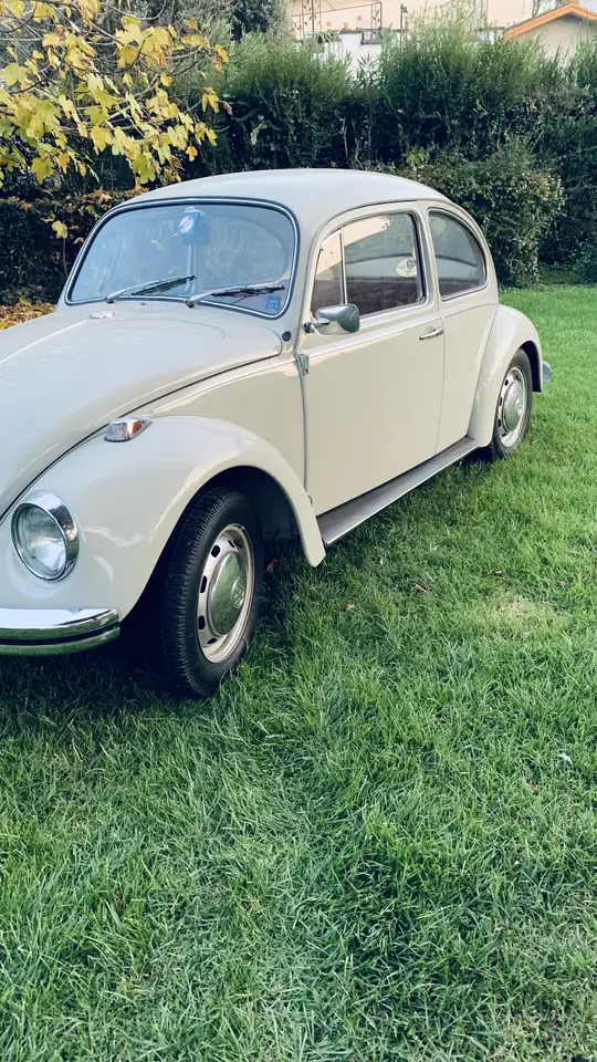 Volkswagen Maggiolino, foto 11