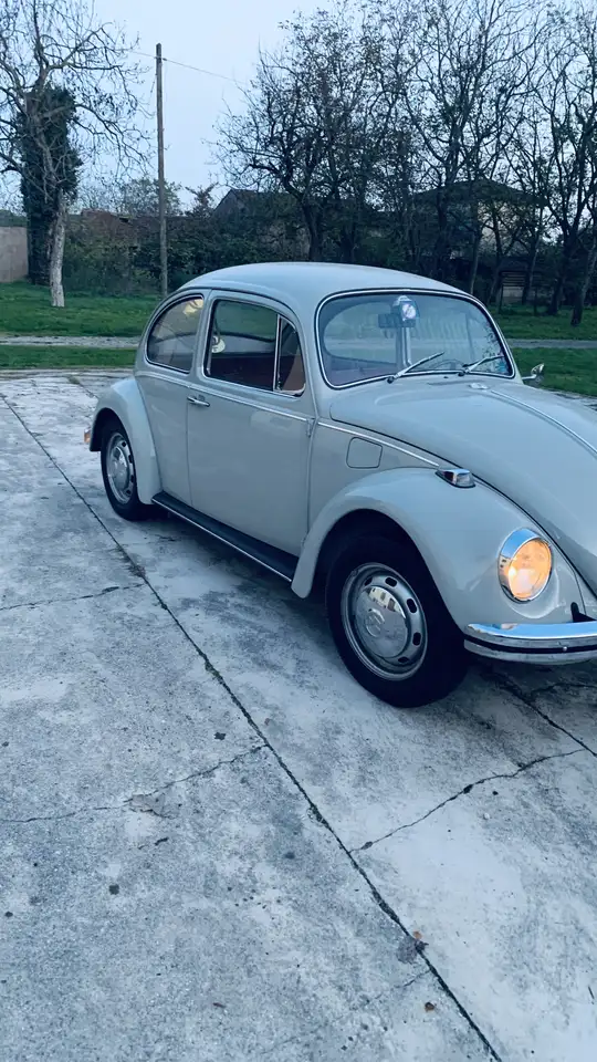 Volkswagen Maggiolino, foto 10