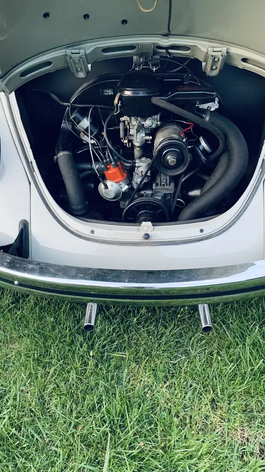 Volkswagen Maggiolino, foto 2